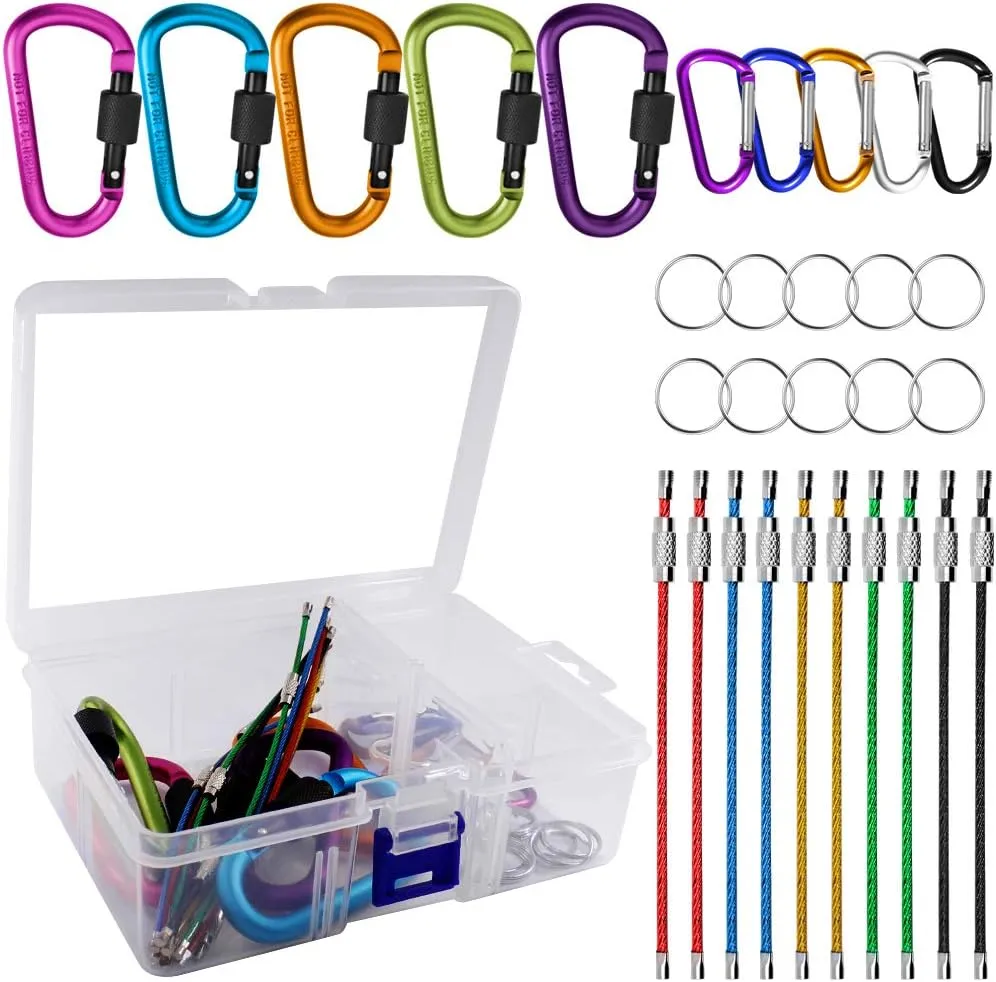 10 Pack Aluminum D-Ring Carabiners, YuCool D Shape Keychain Clips Hook Spring-Loaded for Camping Hiking Fishing, Locking Carabiner,Caribiniers 10 Key Rings - Multi-Color
