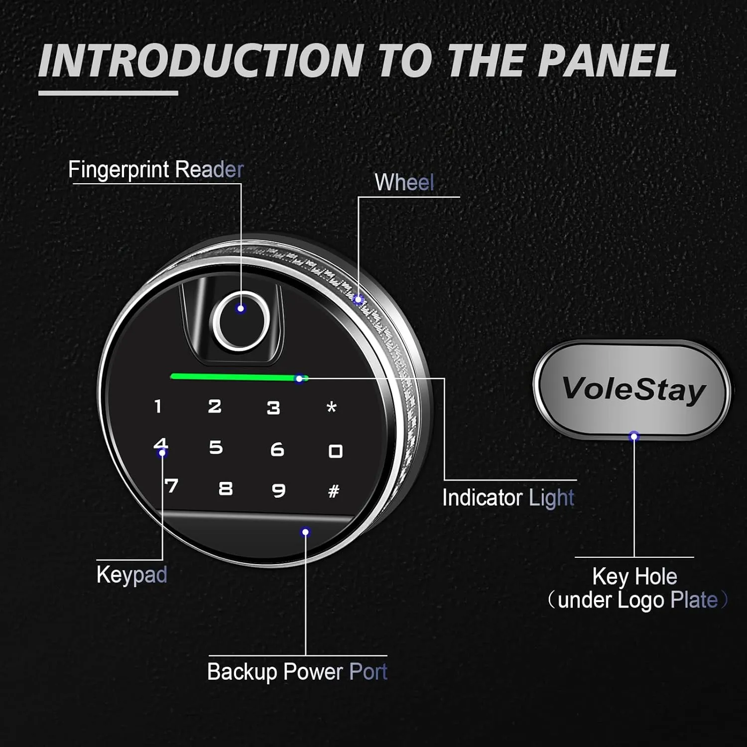 Biometric Home Safe, Fingerprint Gun Safe Lock Box,Money Box for Jewelry Handgun Cash Valuables,Perfect for Home/Office/Hotel, Black, 1.7 Cubic Feet