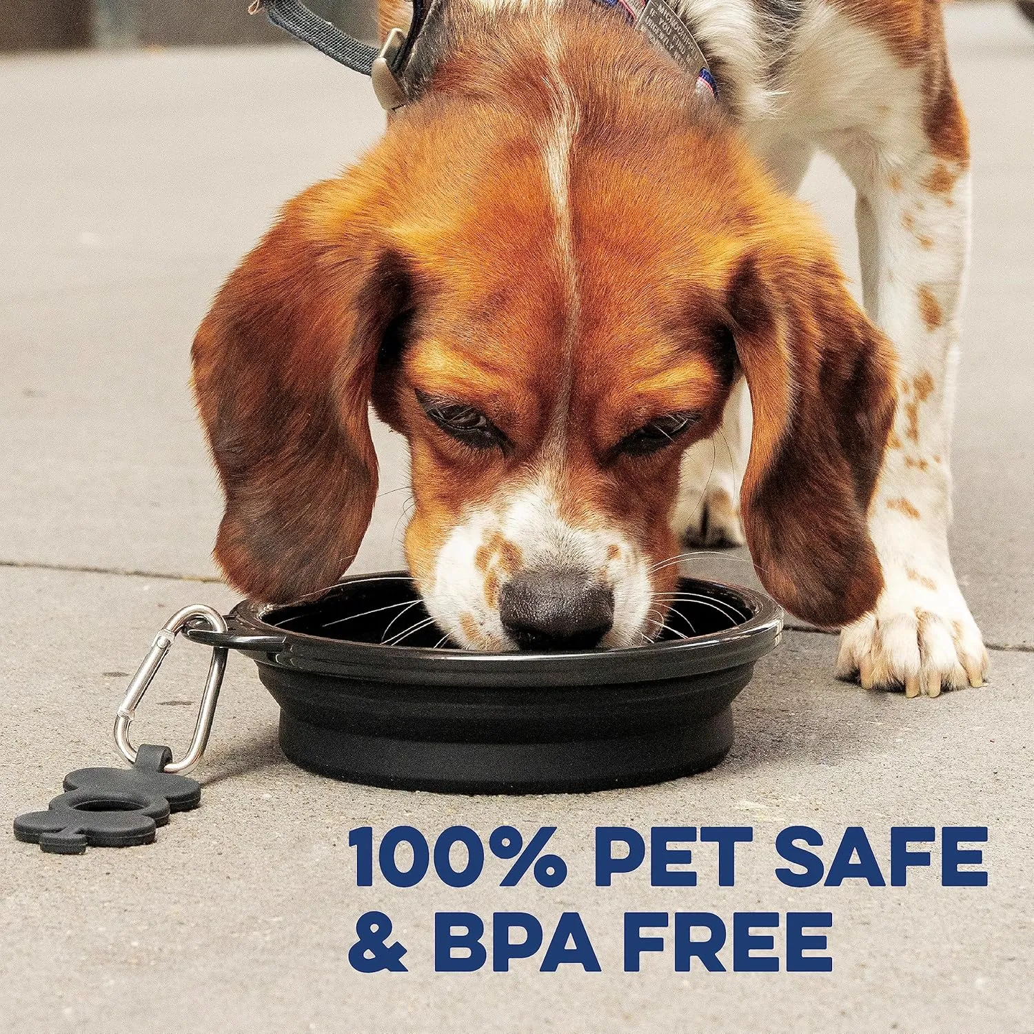 Bonza X-Large Collapsible Dog Bowl, 1500 ML Reinforced Rim, with Carabiner, Water Bowl for Dogs - Travel Essential