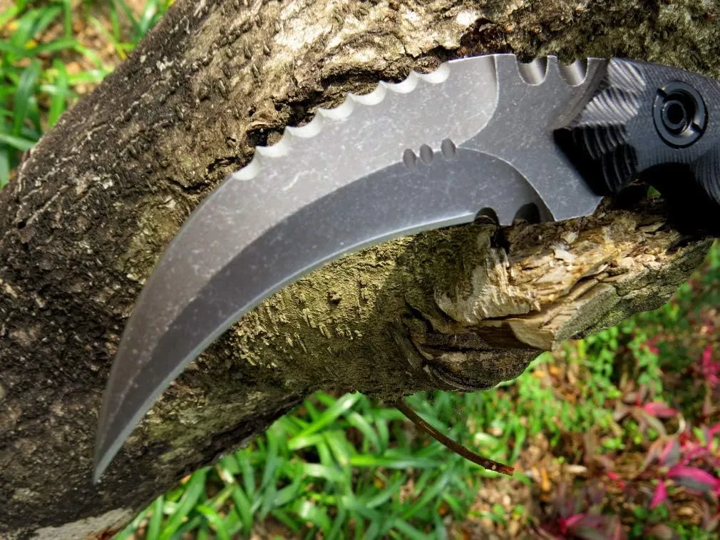 Ccanku C1691 Fixed Blade Knife D2 Steel G10 Handle 4 Inches,Outdoor Claw Knife,Camping EDC Tools, Kydex Sheaths … …