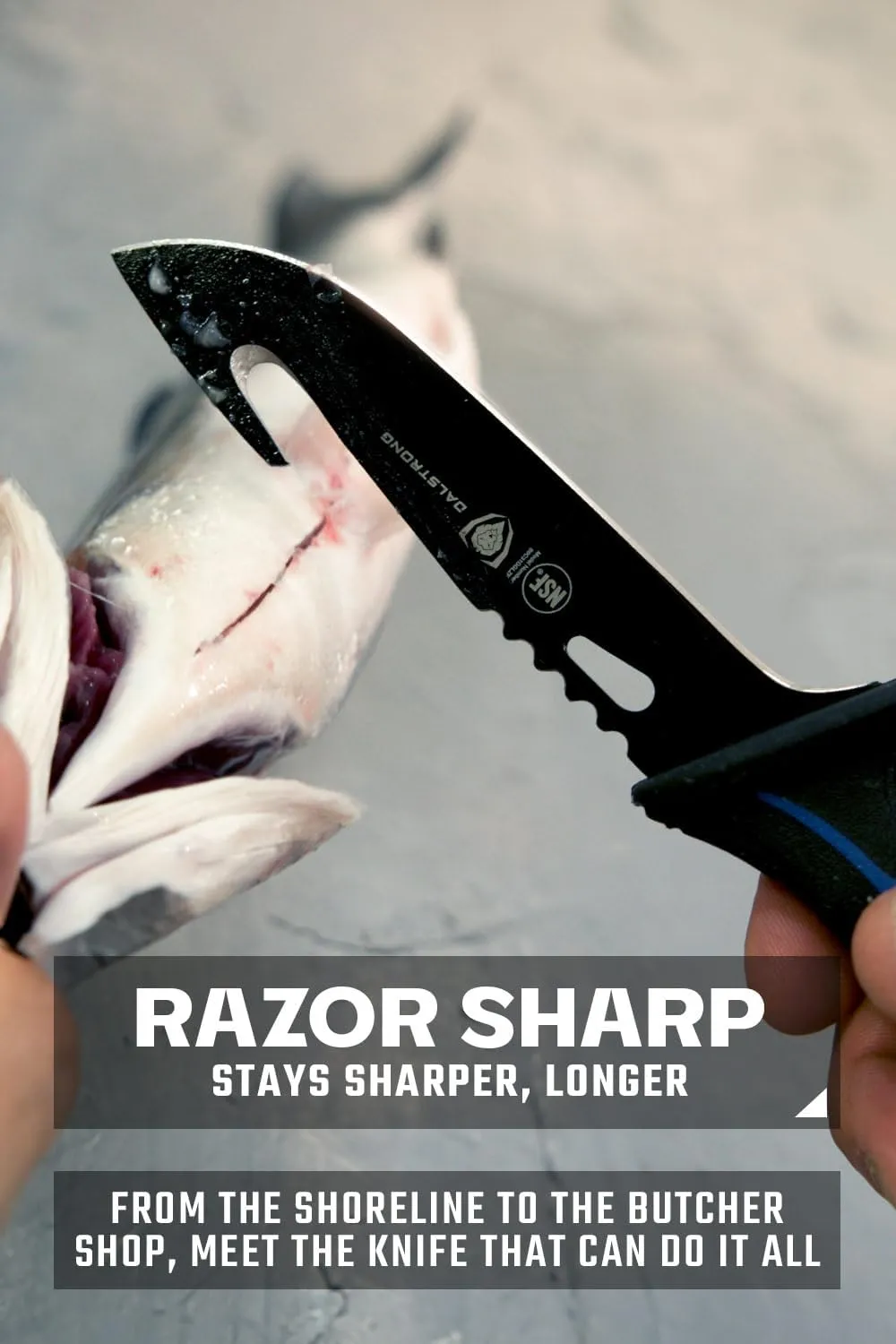 Dalstrong Gut Hook Fish Knife for Filleting and Cleaning - 5” - Night Shark Series - 7CR17MOV High Carbon Steel - Titanium Coated Blade- Polypropylene Handle - w/Sheath - NSF Certified