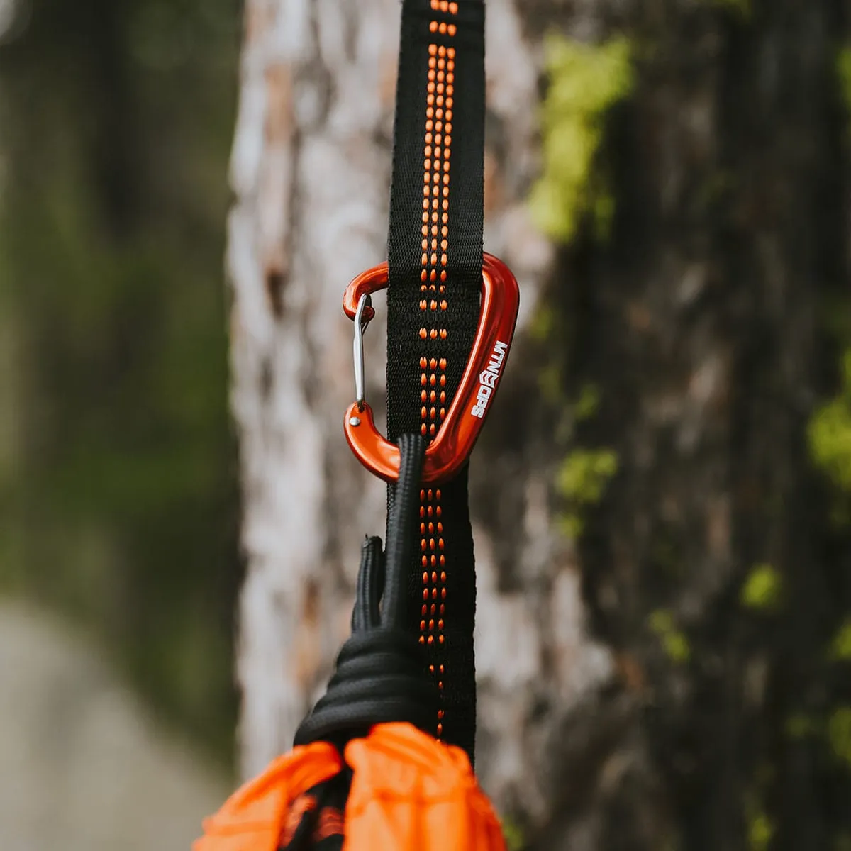 DOUBLE ROOST HAMMOCK