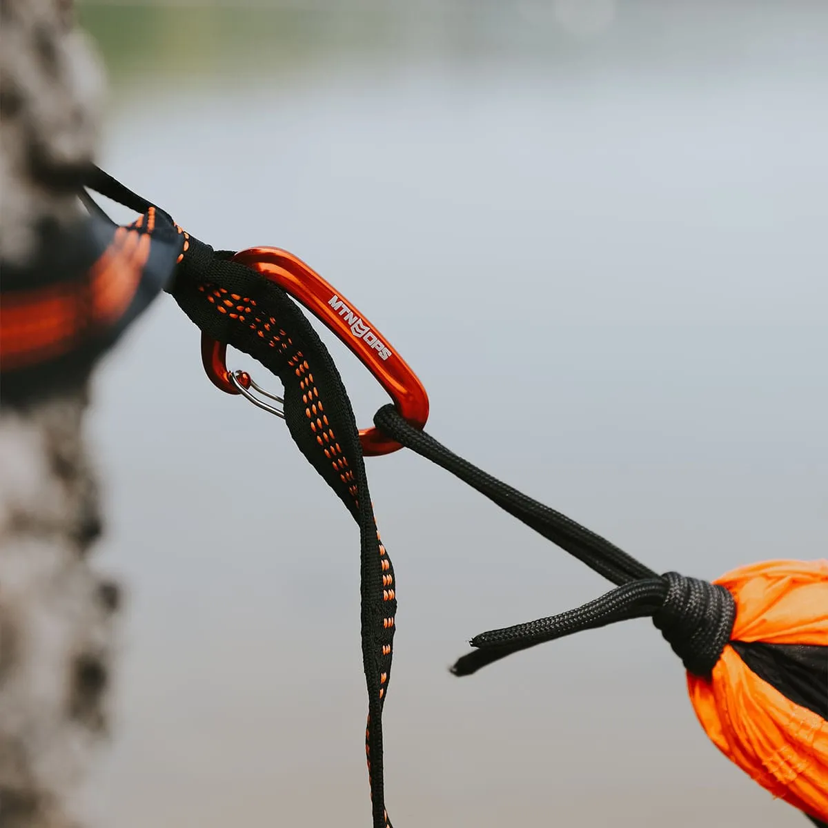 DOUBLE ROOST HAMMOCK