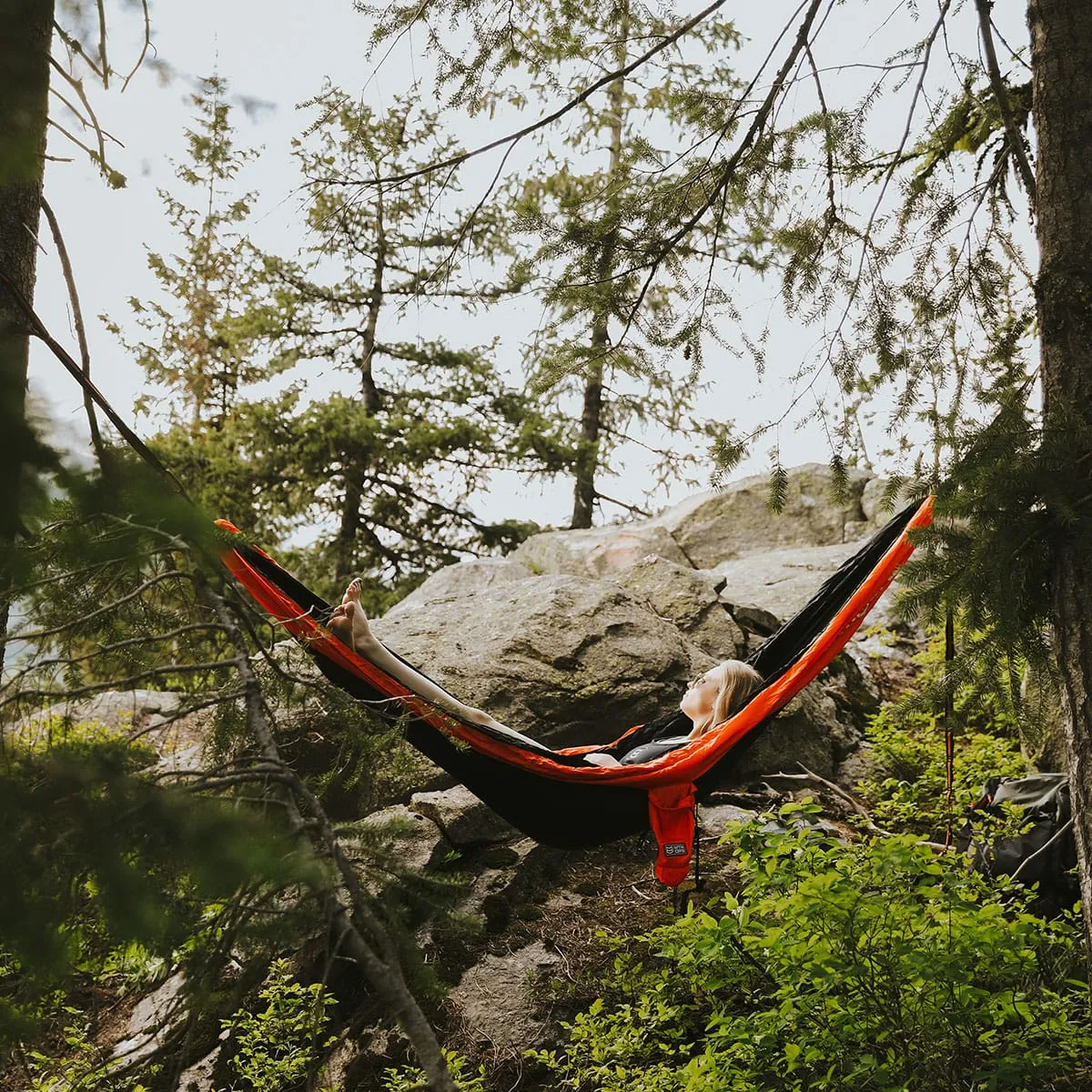 DOUBLE ROOST HAMMOCK