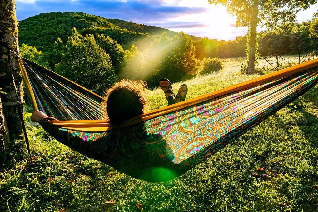 Eno Double Nest Print