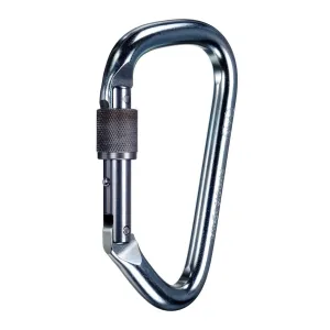 Extra Large Steel Locking D Screwgate Carabiner
