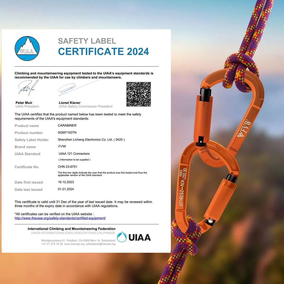 FVW Auto Locking Rock Climbing Carabiner Clips,Professional 25KN (5620 lbs) Heavy Duty Caribeaners for Rappelling Swing Rescue & Gym etc, Large D-Shaped Carabiners