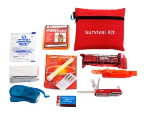 Guardian Survival Mini