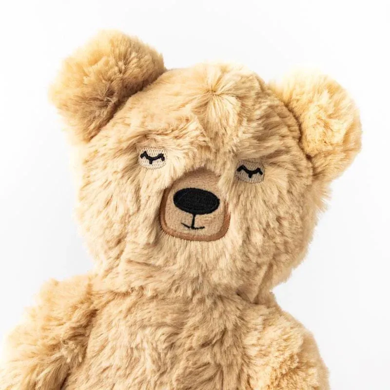 honey bear | kin set