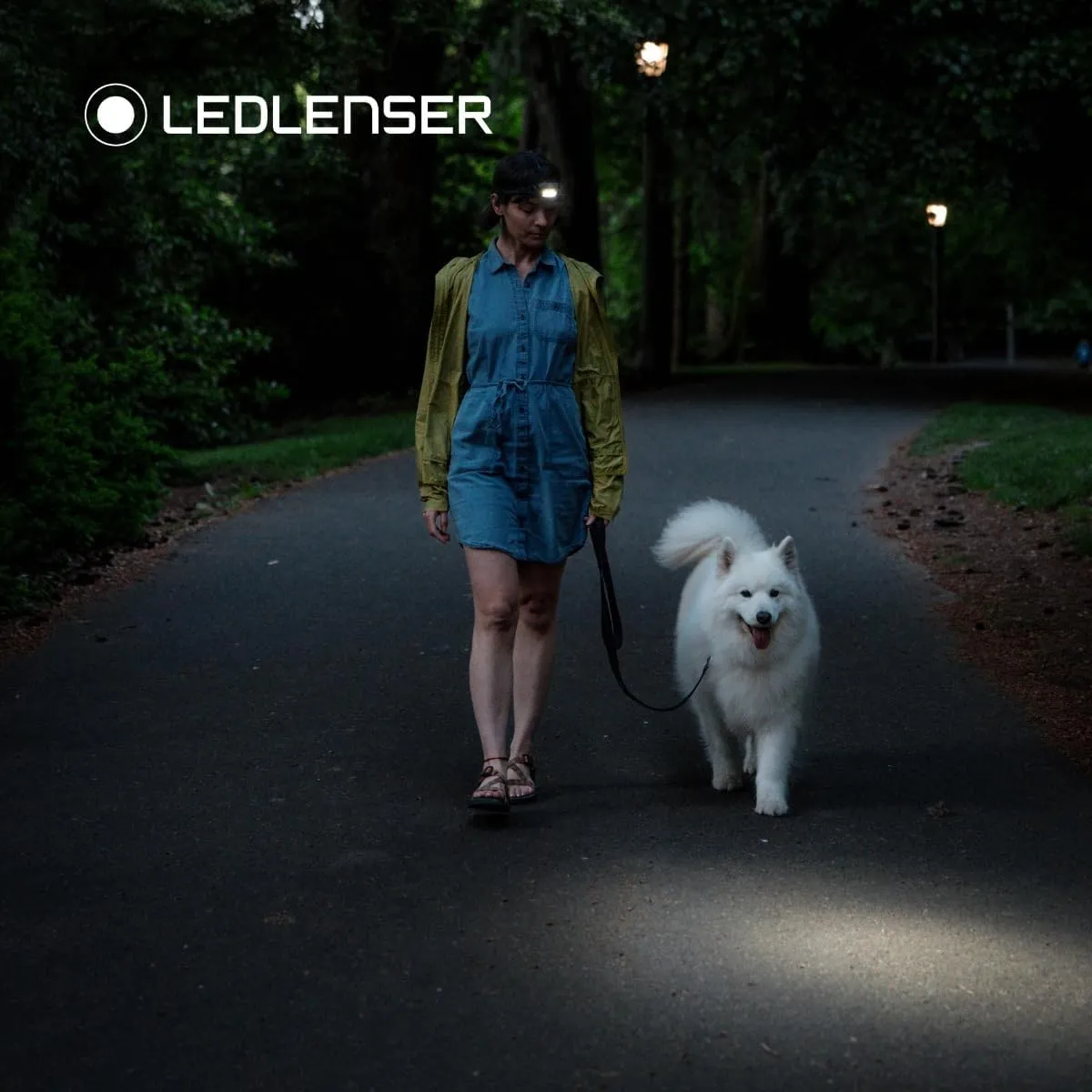 Ledlenser HF4R Core Headlamp LED Rechargeable LED Head Torch 500 Lumen Adventure Headlights Waterproof with Red Light Outdoor Headlamp Headlamp Waterproof Head Torch IP68