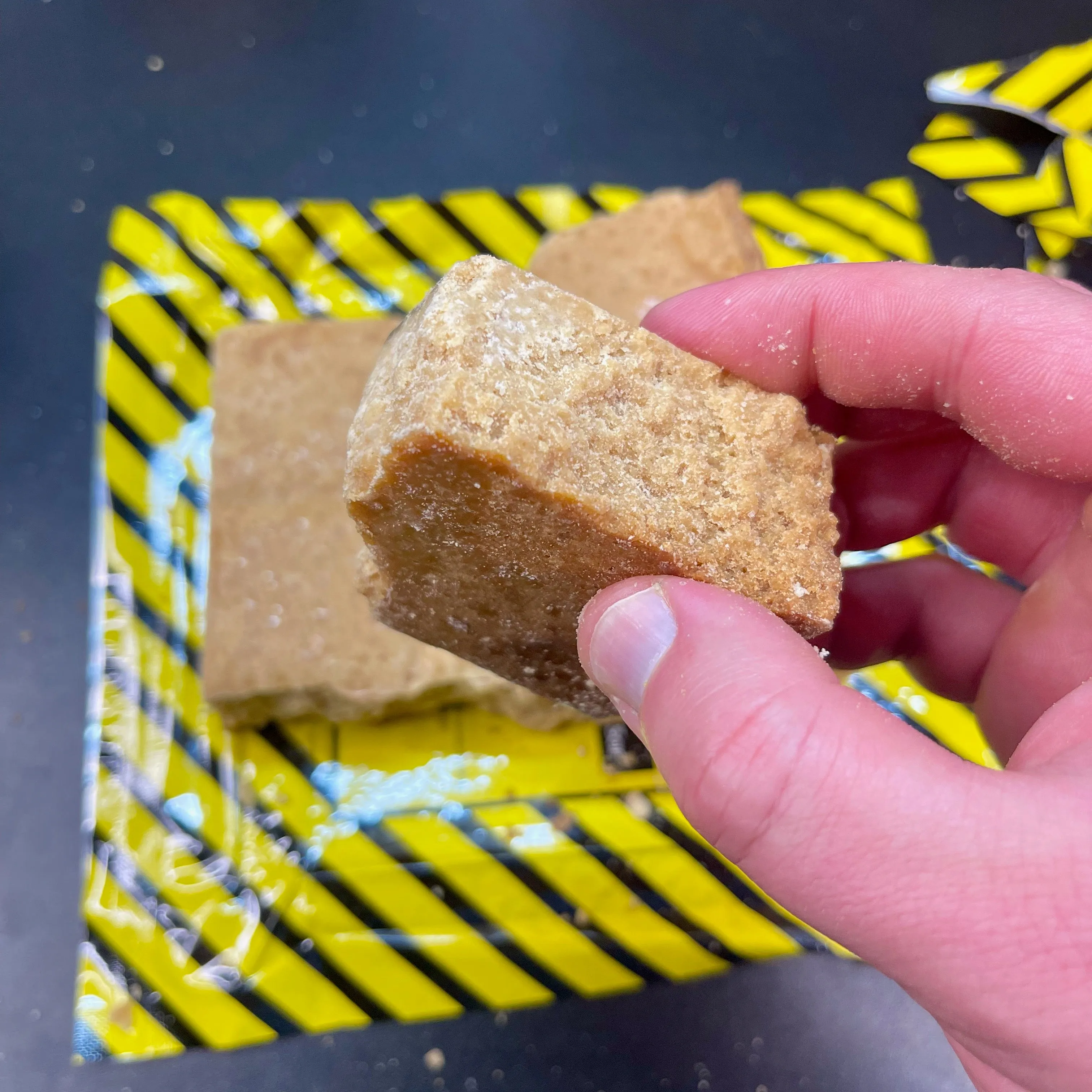 Mayday 9-Day Survival Food Supply: High-Energy Emergency Ration Bars