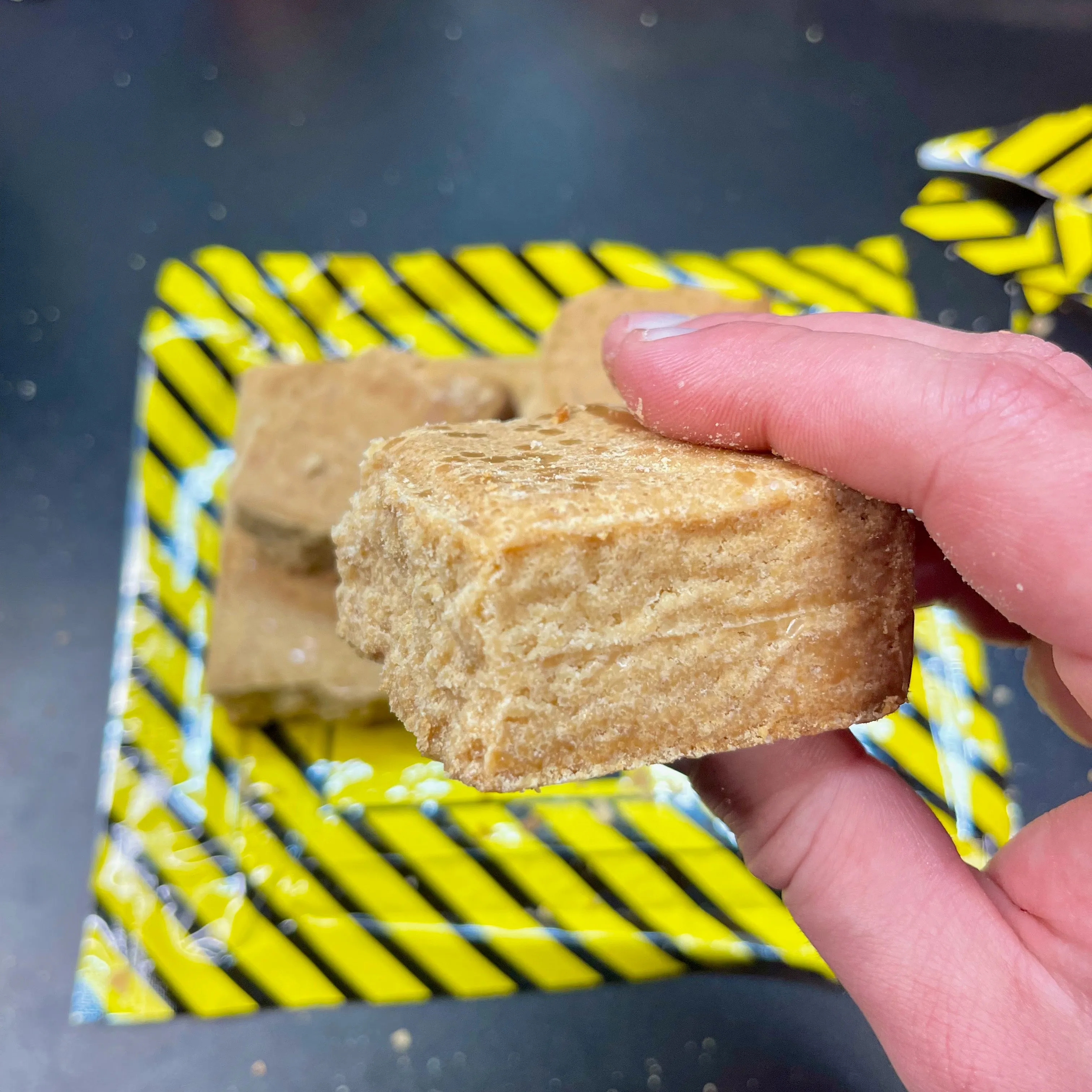 Mayday 9-Day Survival Food Supply: High-Energy Emergency Ration Bars