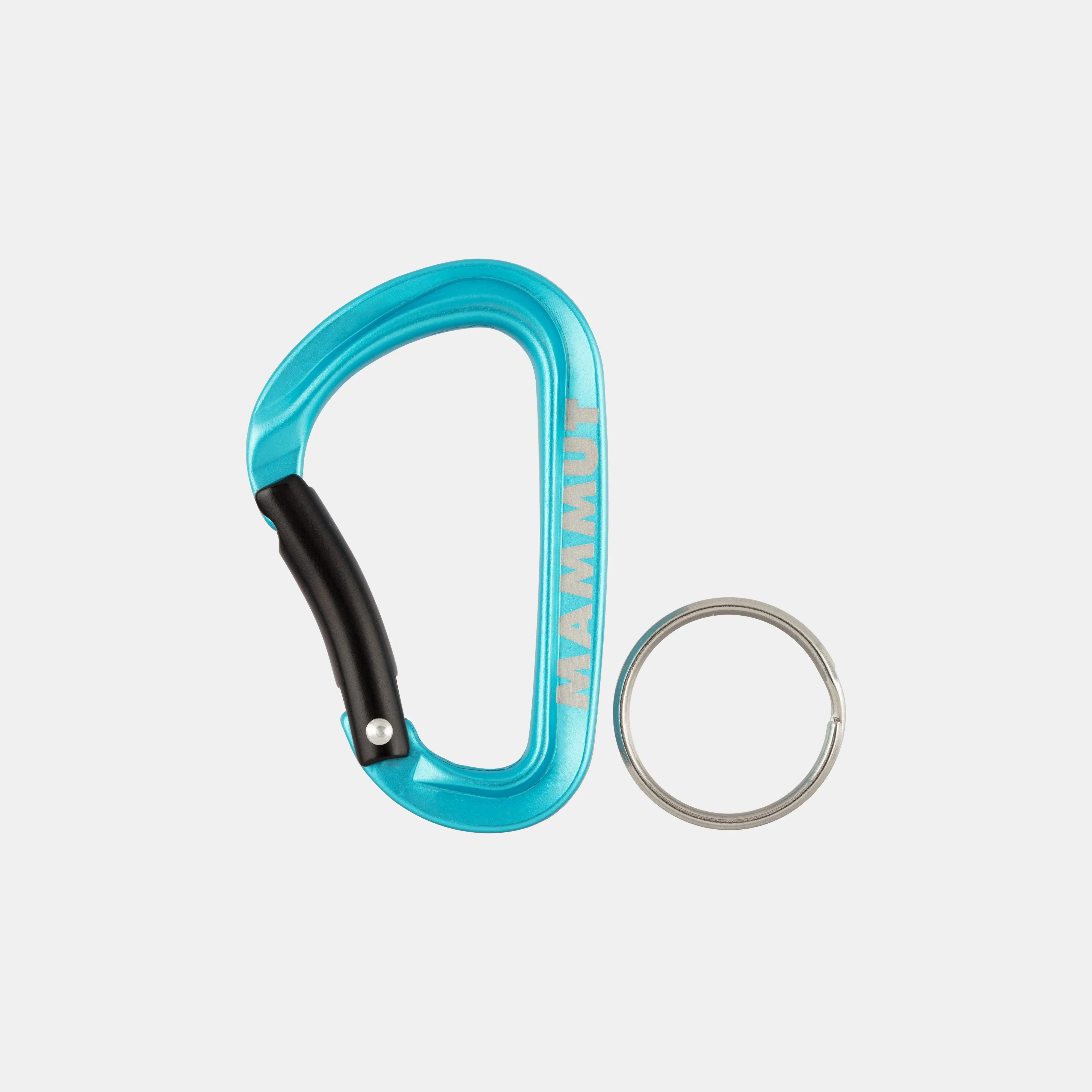 Mini Carabiner Classic Keylock Carabiner