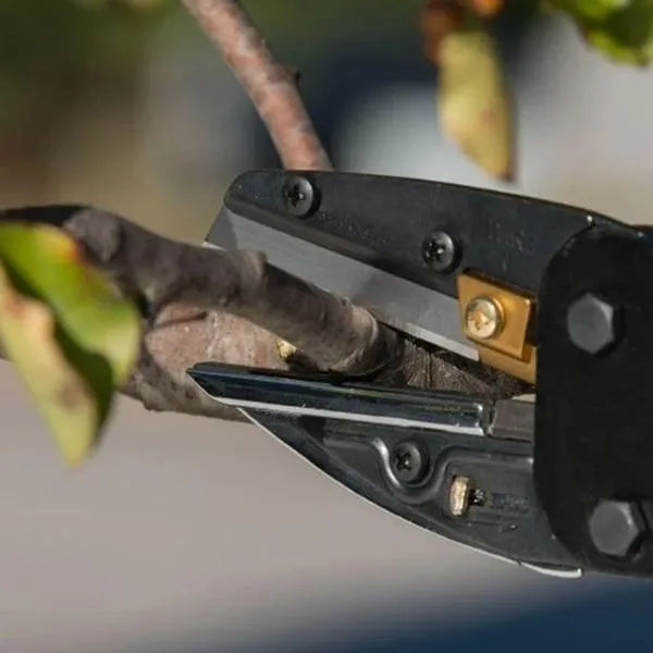 Multi-Function Wire Tool In Cutting Shears, Cutter Cutting-edge features with Pliers, Shipping guarantee Pruning 3-in-1 Built