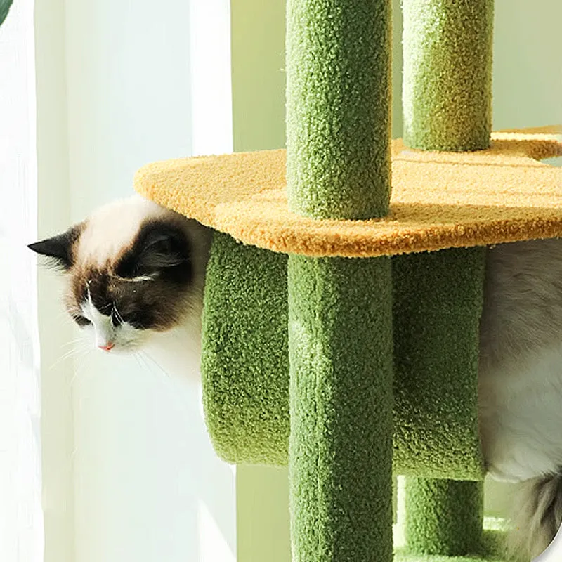 Rainforest Cat Tree