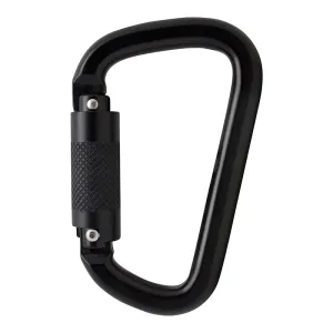 Swift Autolock Carabiner
